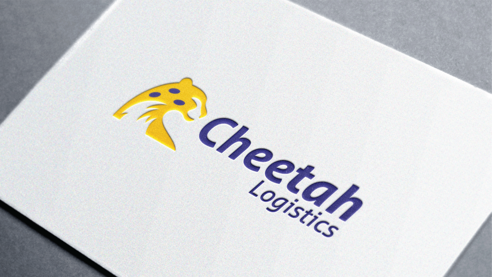 Cheetah Logistics – 4